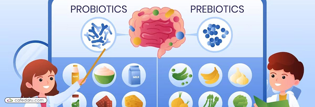 مزایای پروبیوتیک‌ها برای دستگاه گوارش