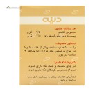 پی برن (ملین درمان چاقی) دینه 20 ساشه بدون طعم
