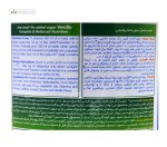 فست میل بدون قند (دیابتی) اسمارت نوتریشن 400 گرم