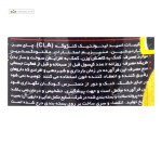 سی ال ای + ال کارنیتین ادوای 60 کپسول