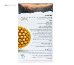 نوروفورس (سلامت سیستم عصبی) سوئیس انرژی 30 کپسول