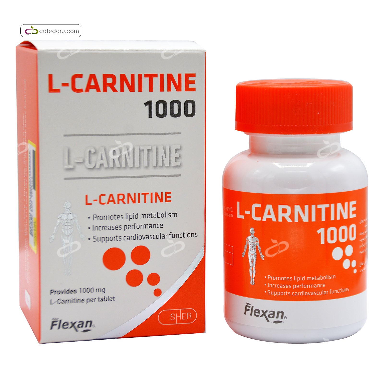 ال-کارنیتین 1000 میلی گرم فیشر فلکسان 30 قرص